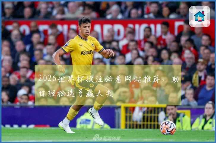 2026世界杯投注必看网站推荐，助你轻松选号赢大奖