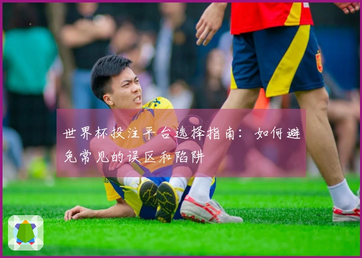 世界杯投注平台选择指南：如何避免常见的误区和陷阱