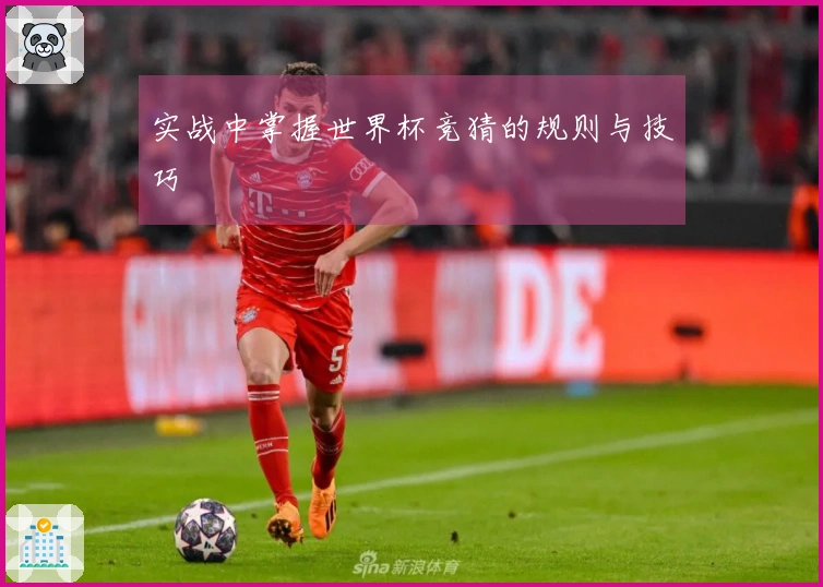 实战中掌握世界杯竞猜的规则与技巧