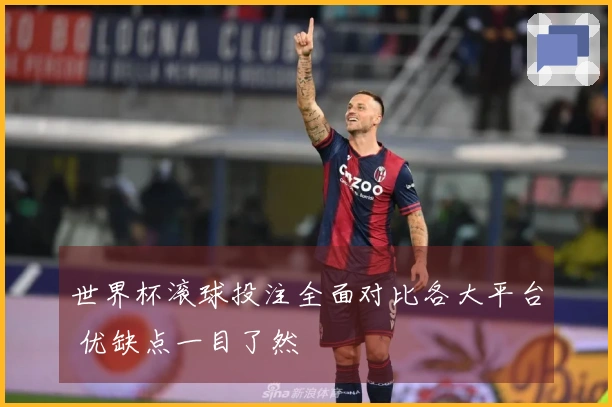 世界杯滚球投注全面对比各大平台 优缺点一目了然