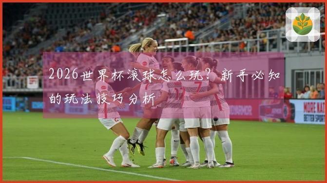 2026世界杯滚球怎么玩？新手必知的玩法技巧分析