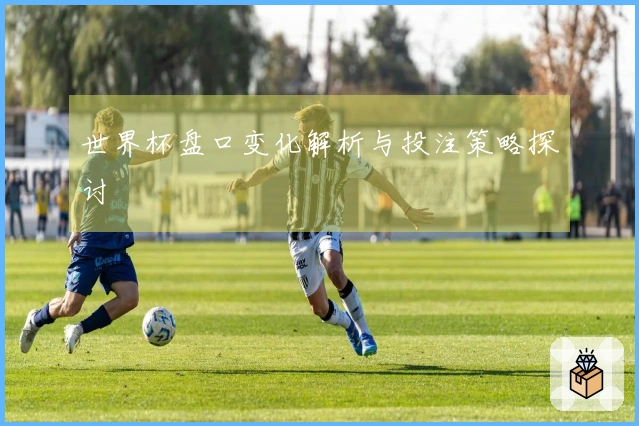 世界杯盘口变化解析与投注策略探讨