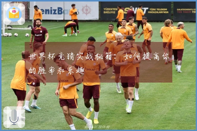世界杯竞猜实战秘籍：如何提高你的胜率和乐趣