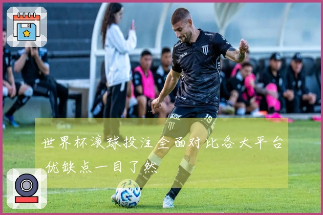世界杯滚球投注全面对比各大平台 优缺点一目了然