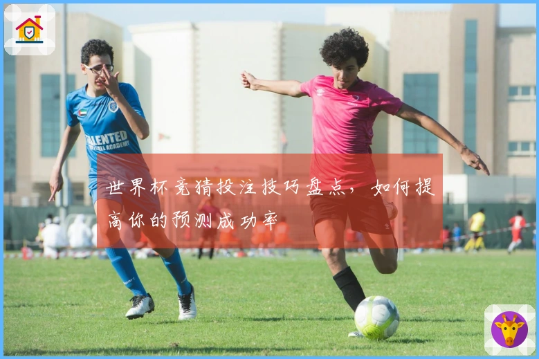 世界杯竞猜投注技巧盘点，如何提高你的预测成功率
