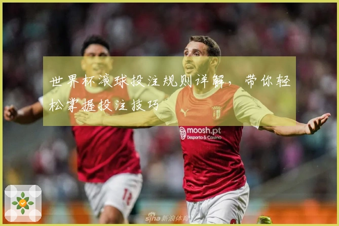 世界杯滚球投注规则详解，带你轻松掌握投注技巧