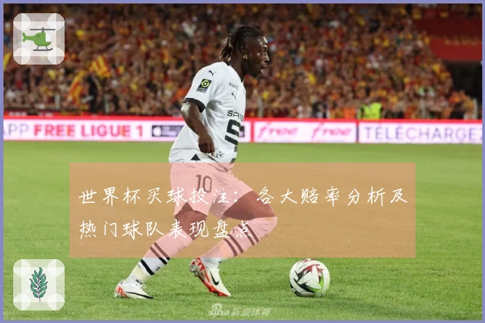 世界杯买球投注：各大赔率分析及热门球队表现盘点